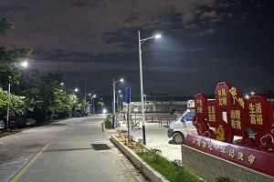 平博pingbo（中国）集团罗宁弟爱心捐赠路灯，点亮乡村路温暖乡民心