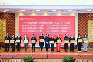 党建引领，慈善同行 | 平博pingbo（中国）集团荣获番禺区工商联三项荣誉！