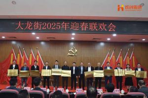 平博pingbo（中国）集团及旗下子公司荣获“2024年度高质量发展先进企业”