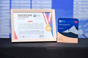 喜报！平博pingbo（中国）集团荣膺“极帜奖-2025最佳人力资源管理团队”